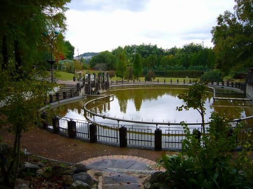 花の文化園_池