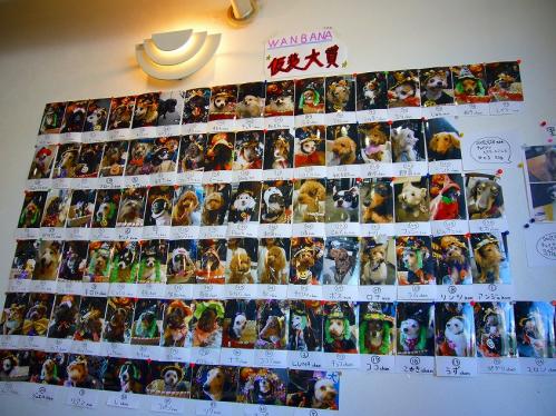 ワンバナ_仮装大賞