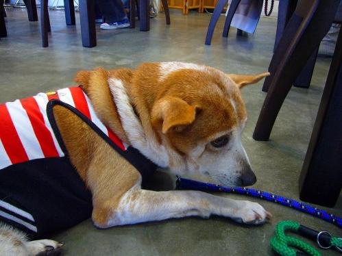 ワンバナ_レナうつむき