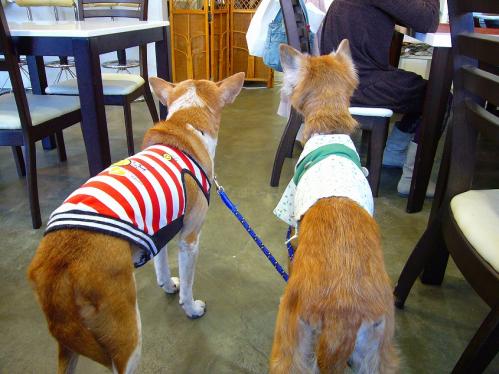 ワンバナ_待ち遠しい二人