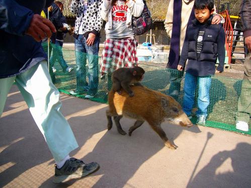 ウリボーとみわちゃん１