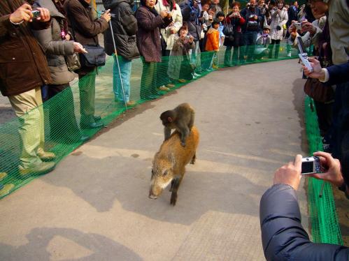 ウリボーとみわちゃん２