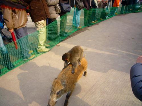 ウリボーとみわちゃん３