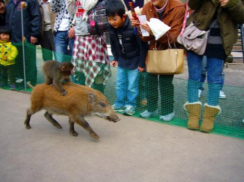 ウリボーとみわちゃん４