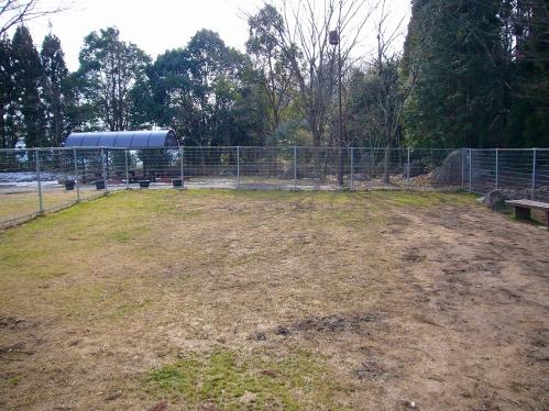 西紀SA_ドッグラン