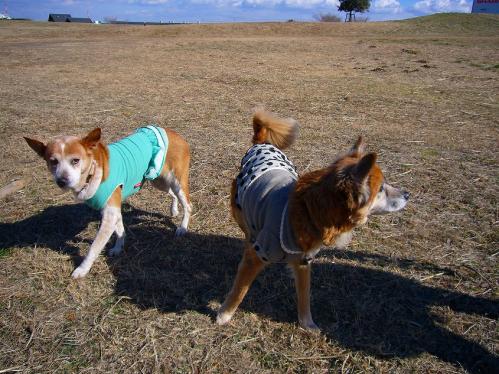 堺浜_レナ、ラン