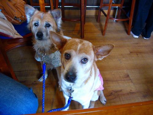 ロイドライト_レナ