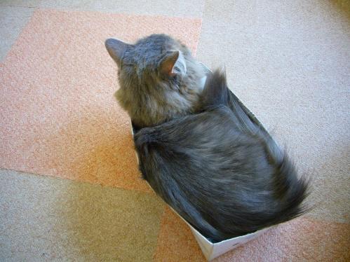 あまえんぼ_20110409_12