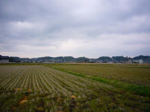 岡山_畑２
