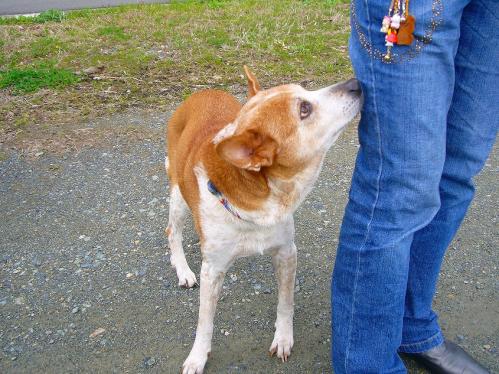 岡山_みつばち農園_レナ