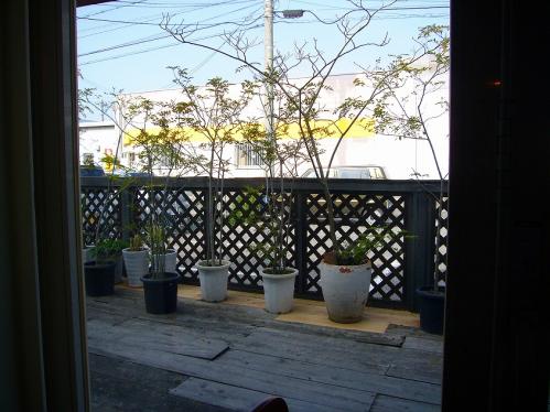 ニックスワン_テラス