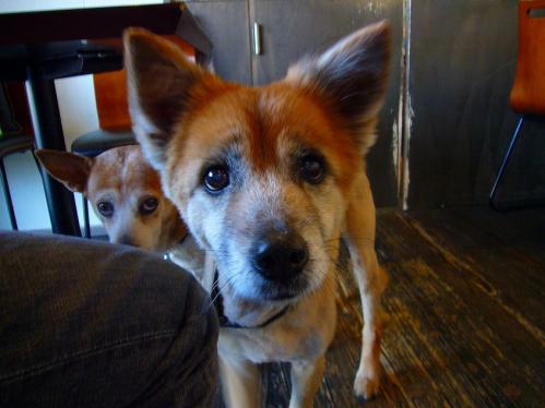 ニックスワン_ラン