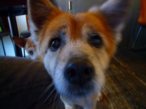 ニックスワン_ランアップ