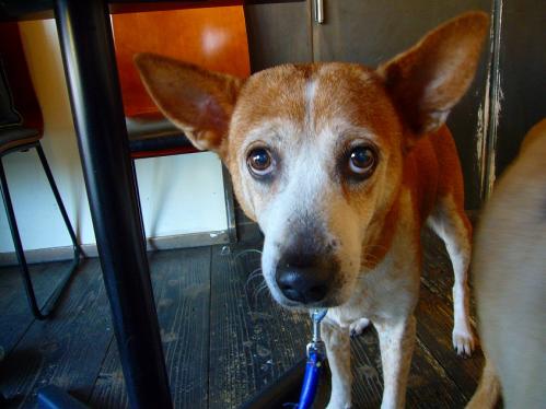 ニックスワン_レナ