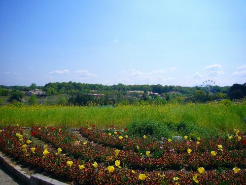 ハーベストの丘_景色