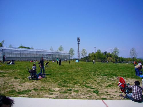 ハーベストの丘_イチゴハウス前