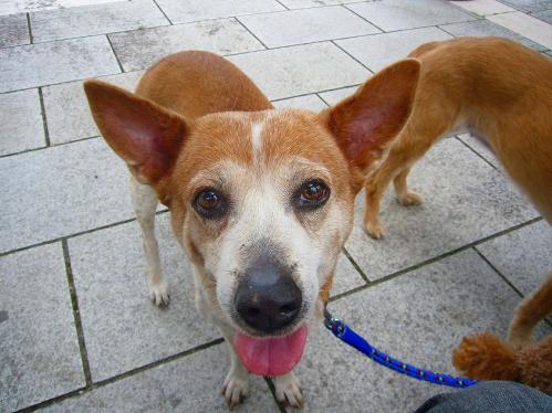 トンボ池公園_レナ