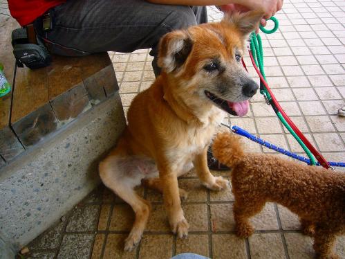 トンボ池公園_ラン