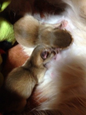 s_写真 2013-12-11 12 04 36