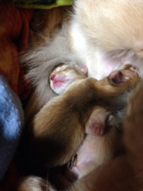 s_写真 2013-12-11 18 42 38