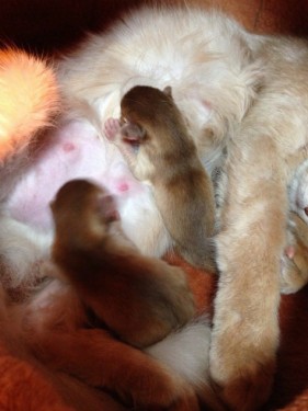 s_写真 2013-12-11 9 02 58