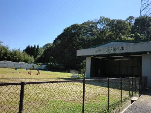 ドッグリゾート犬山_ドッグラン