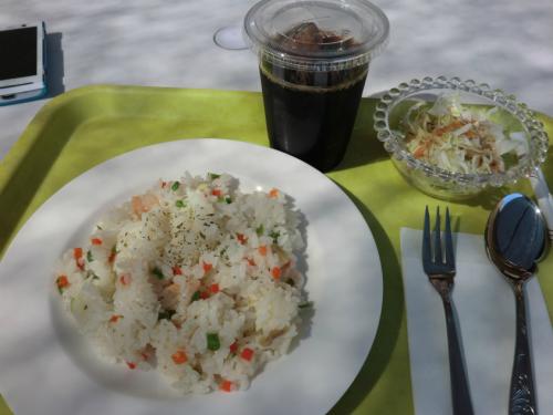 ドッグリゾート犬山_エビピラフ