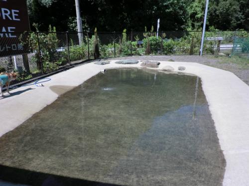 ドッグリゾート犬山_プール