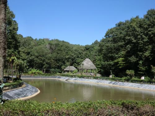 リトルワールド_池