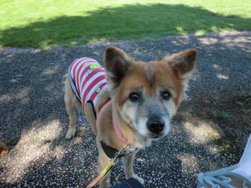 リトルワールド_ラン