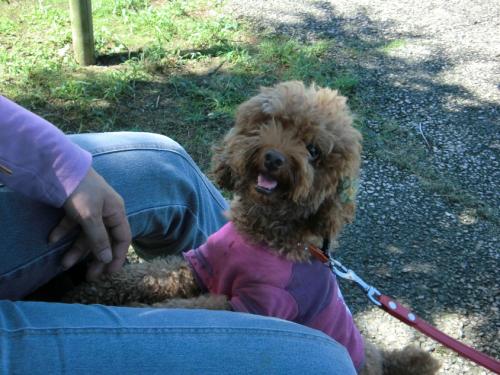 リトルワールド_マオ