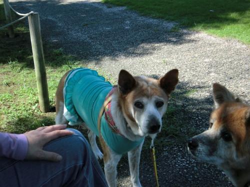 リトルワールド_レナ