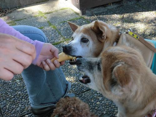 リトルワールド_レナラン