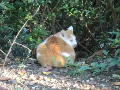 名城公園_トラぶち