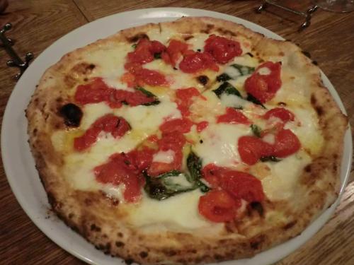 サルバトーレ_DOC