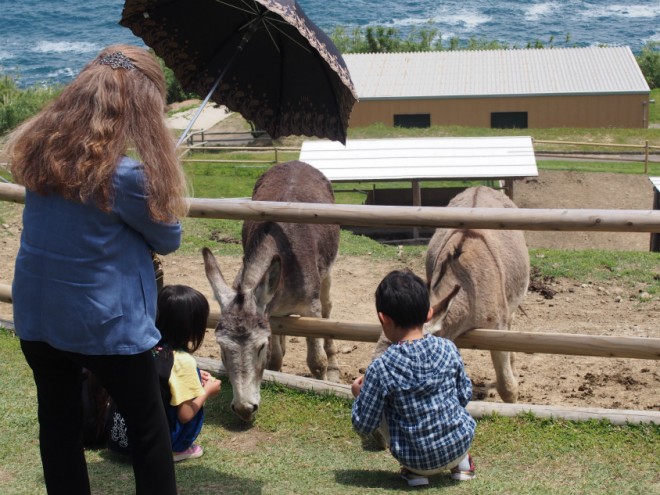 サンメッセ日南エサやり