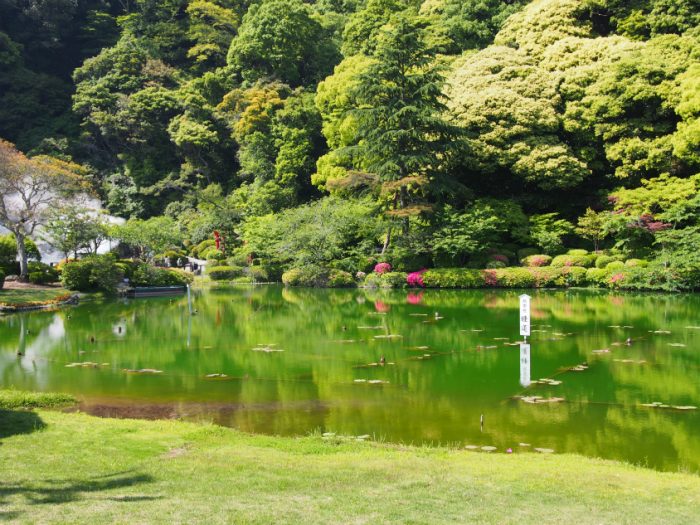別府地獄めぐり 海地獄の池