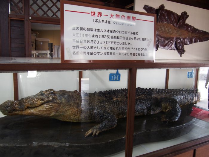 別府地獄めぐり 鬼山地獄の世界一の大鰐の剥製