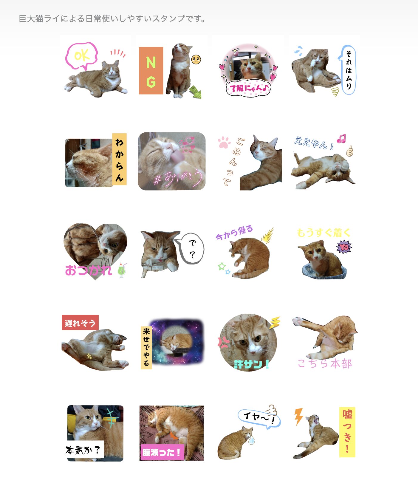 巨大猫ライは7kg スタンプ24種一覧