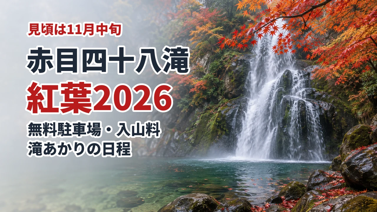 赤目四十八滝の紅葉2026 無料駐車場・入山料・滝あかりの日程