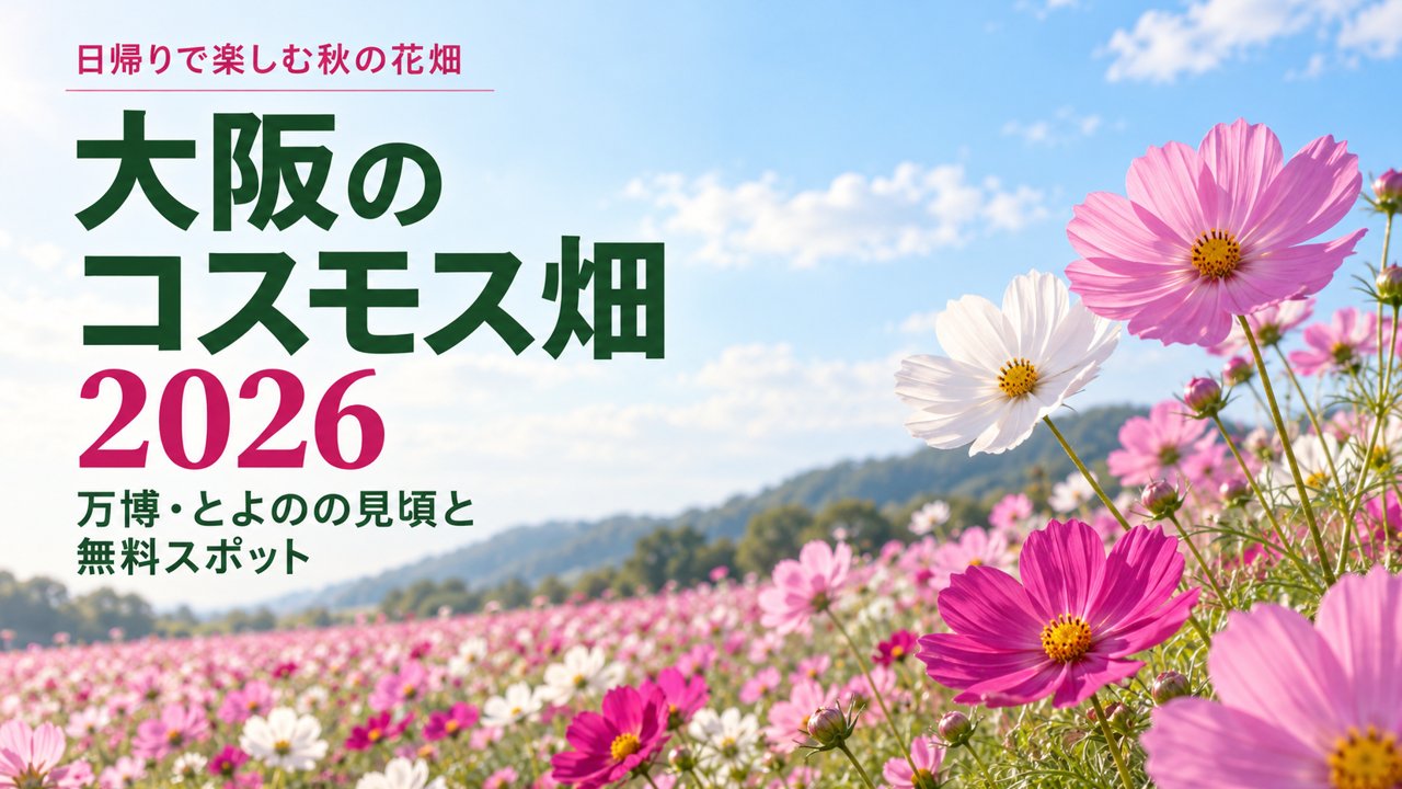 秋晴れの空の下に広がるピンクと白のコスモス畑のイラスト