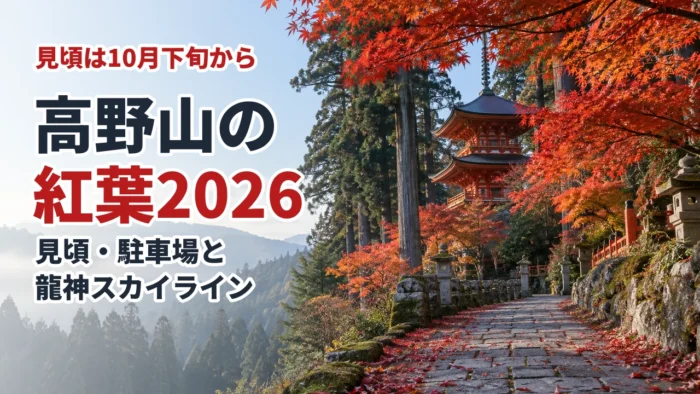 高野山の紅葉2026 見頃・駐車場と龍神スカイライン