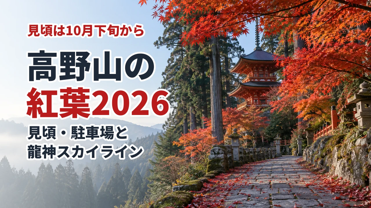 高野山の紅葉2026 見頃・駐車場と龍神スカイライン