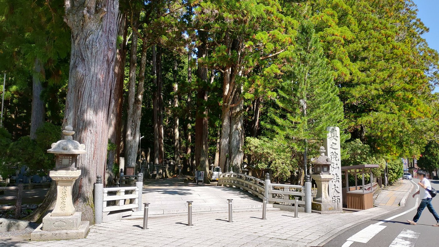 高野山奥之院の一の橋と杉の大木