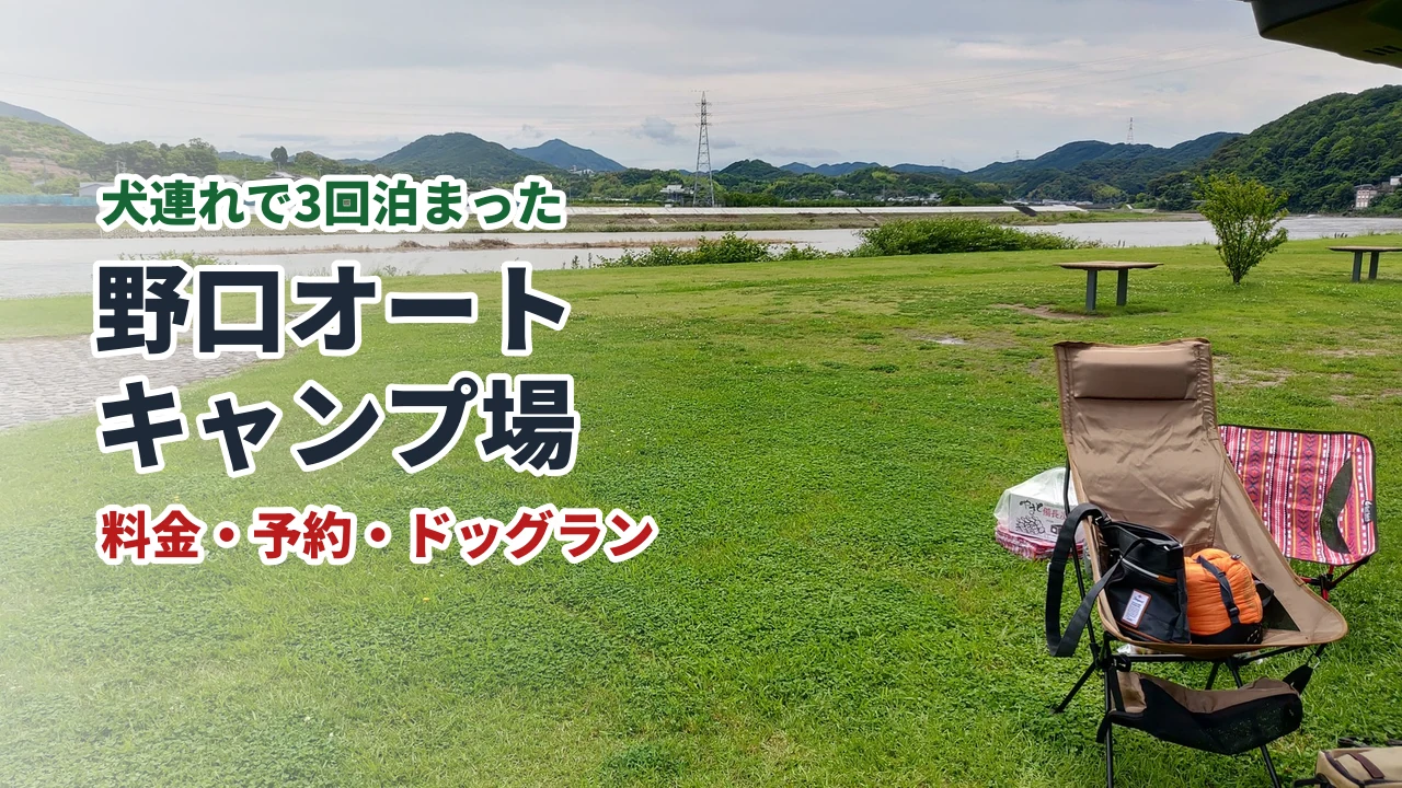 野口オートキャンプ場の芝生のサイトと日高川