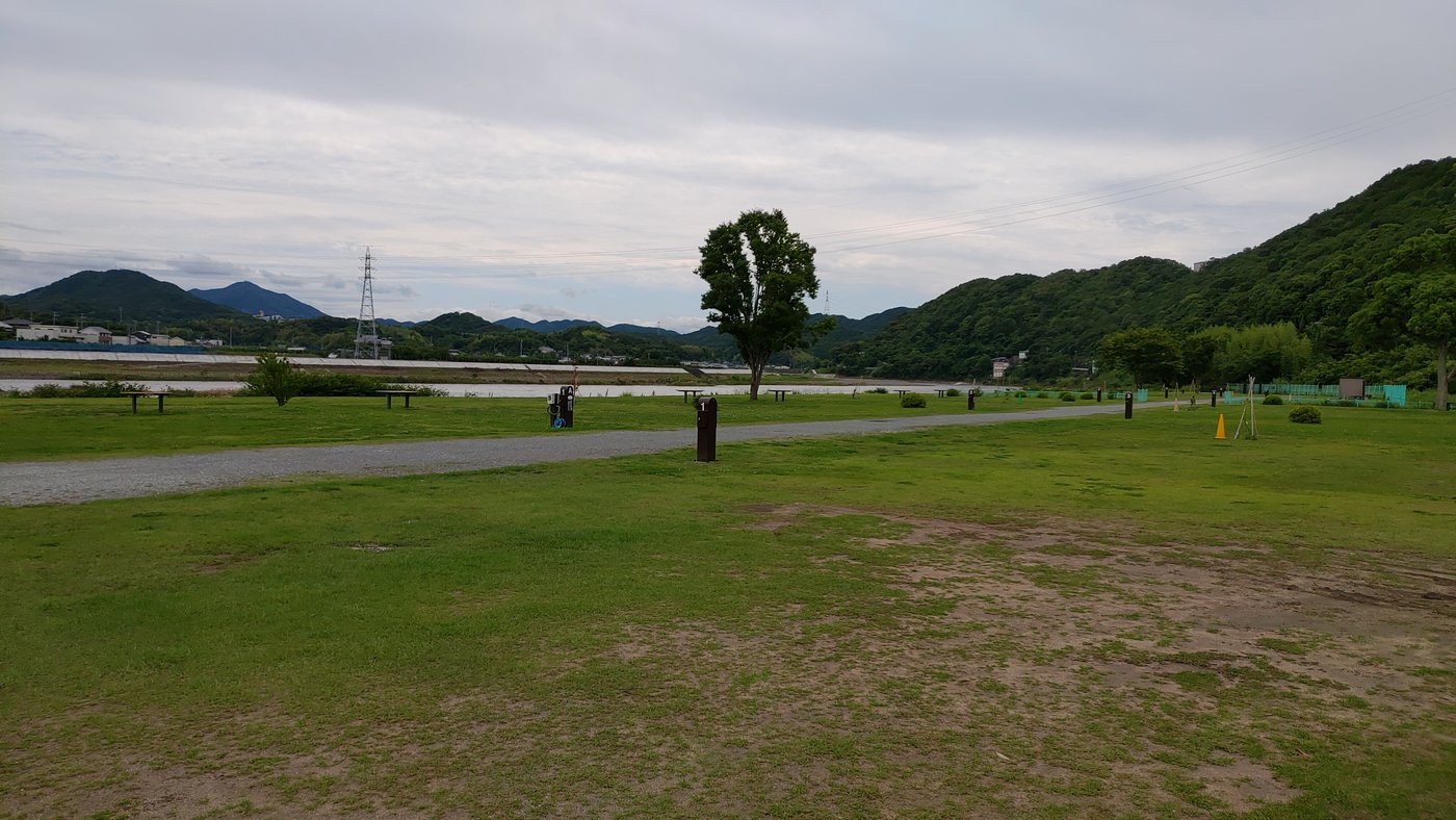 2023年6月の野口オートキャンプ場の芝生