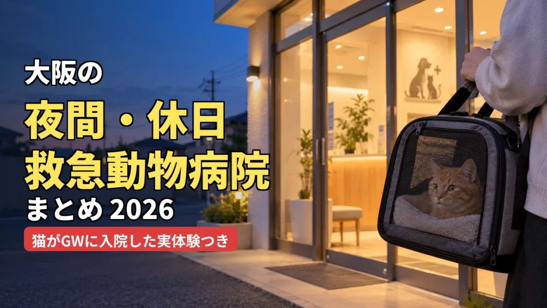 大阪の夜間・休日 救急動物病院まとめ2026 猫がGWに入院した実体験つき
