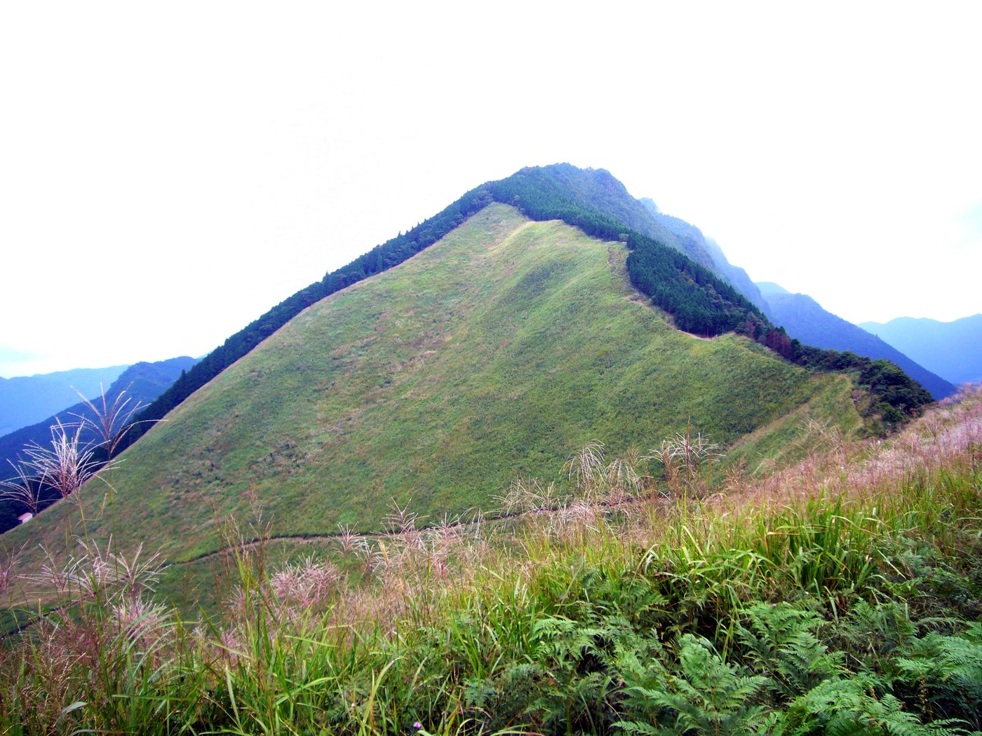 曽爾高原の亀山の稜線を見上げた斜面