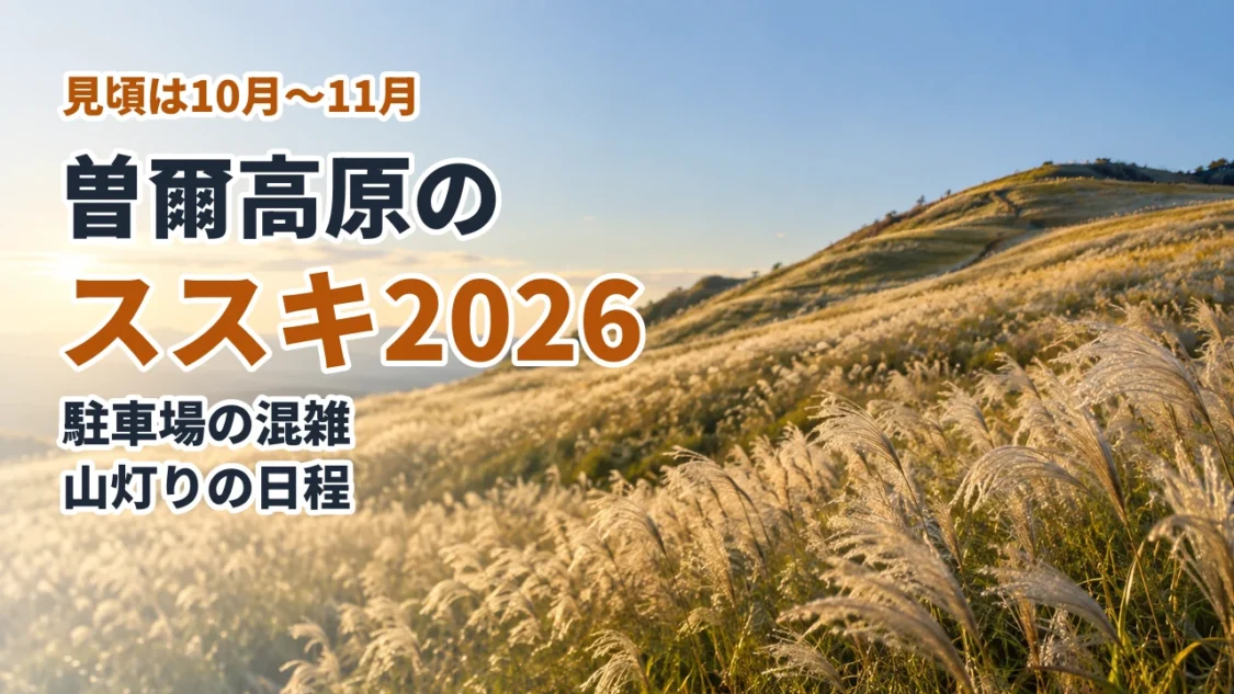 曽爾高原のススキ2026