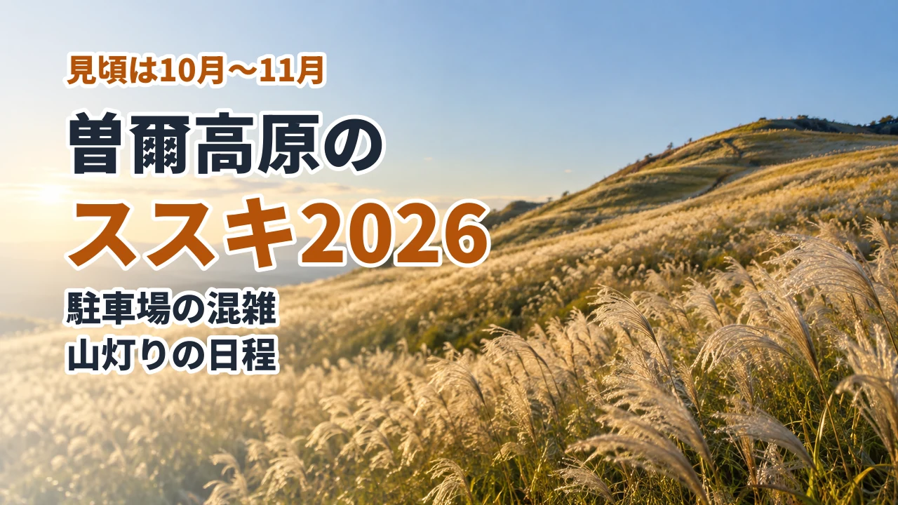 曽爾高原のススキ2026